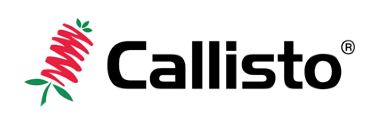 Callisto 480 sc