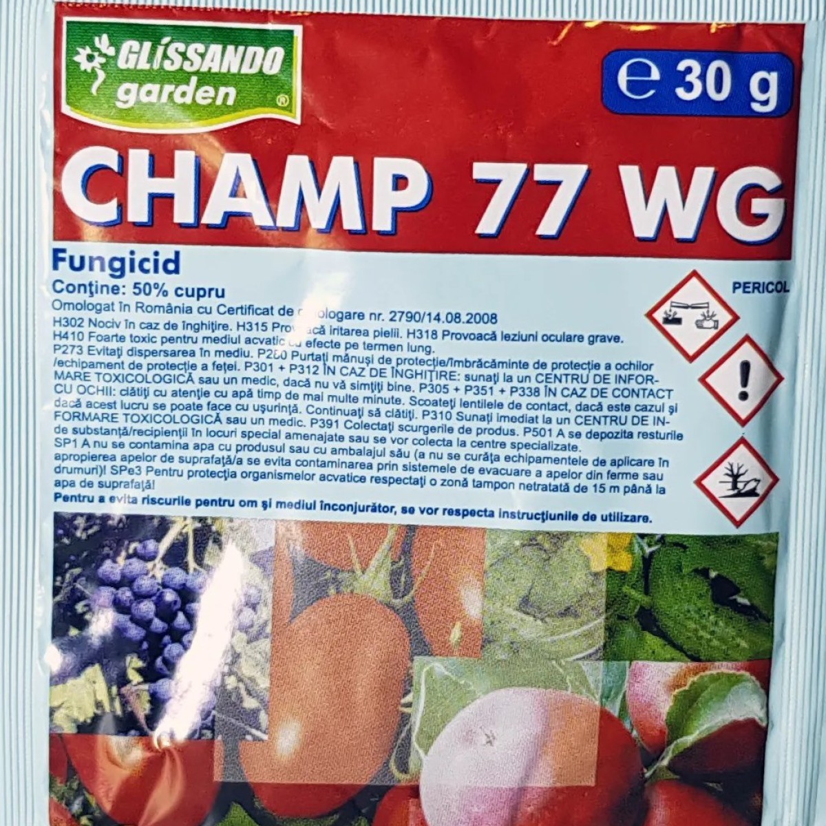 Champ 77 WG